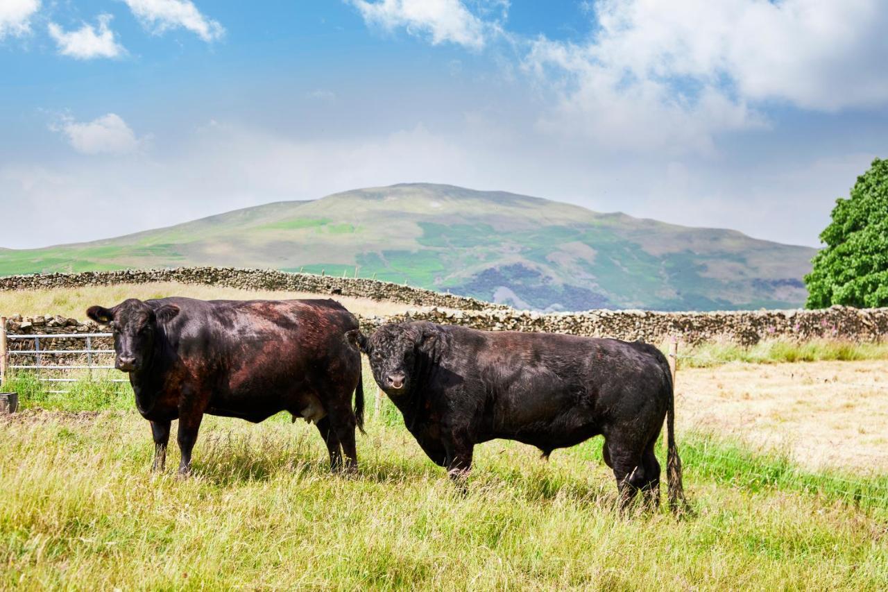The Dalesman Country Inn Sedbergh Exterior foto